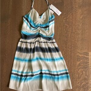 Striped Blue and Black Dress by Parker new with tags. Originally $170